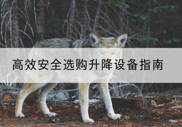 余庆升降货梯厂家推荐-*安全选购升降设备指南