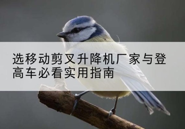 余庆电动升降机厂家-选移动剪叉升降机厂家与登高车必看实用指南