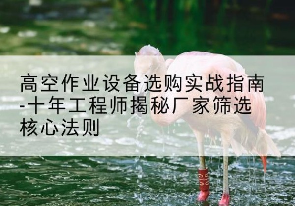 余庆剪叉式升降机厂家-高空作业设备选购实战指南-十年工程师揭秘厂家筛选核心法则
